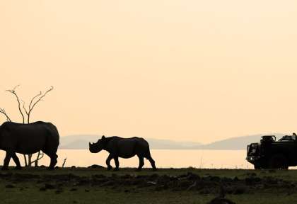 Safari à Matusadona © Rhino Safaris Camp