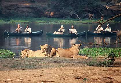 safari en canoe