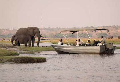 safari bateau à Chobe