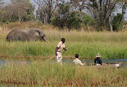 Mokoro dans le Delta de l'Okavango