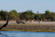 Botswana-Parc national de Chobe - Chobe Game Lodge