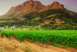 Afrique du Sud - Route des Vins - ©Shutterstock, Longjon
