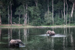 Congo - Croisière Safari à la rencontre des Gorilles - Expéditions Ducret ©Scott Ramsay