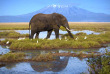 Kenya - Parc national Amboseli © Shutterstock, andrzej kubik