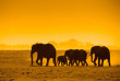 Kenya - Parc national Amboseli © Shutterstock, javarman