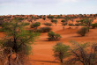 Namibie - Désert du Kalahari, Mariental ©Shutterstock, BC Cornelia