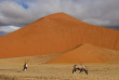 Namibie - Désert du Namib, Dunes ©Shutterstock, Francois Loubser