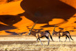 Namibie - Désert du Namib, Oryx ©Shutterstock, Radek Borovka
