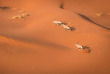 Namibie - Désert du Namib, Sossusvlei ©Shutterstock Janelle Lugge