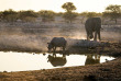 Namibie - Parc national d'Etosha - Elephants ©Shutterstock, 2630 Ben