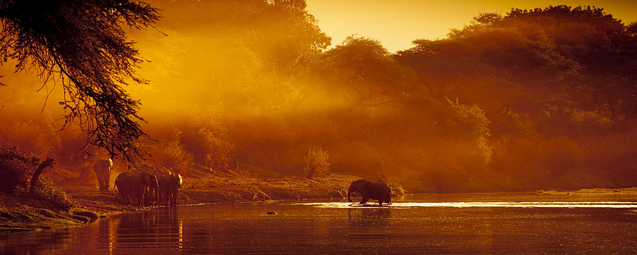 Parc National Du Lower Zambezi - Voyage, Circuit Et Safari En Zambie ...