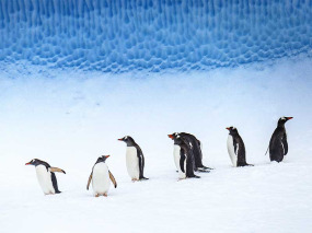 Croisières PONANT - Antarctique © Studio Ponant, Laurence Fischer