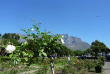 Afrique du Sud - Cape Town - Journée de visite de la Péninsule du Cap