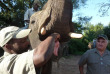 Afrique du Sud - Hazyview - Rencontre et balade avec les éléphants au coucher de soleil