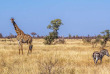 Afrique du Sud - Parc national du Kruger ©Shutterstock, Paco Como