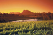 Afrique du Sud - Route des Vins