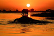 Botswana - Parc national de Chobe - ©Shutterstock, Jt Platt