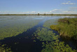 Botswana - Delta de l'Okavango - Setari Camp