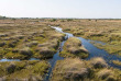 Botswana - Delta de l'Okavango - Shinde Concession - Camp Okavango