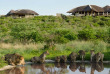 Botswana - Kalahari - Kwando Tau Pan
