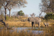 Botswana - Linyanti Reserve  ©Shutterstock, Villiers Steyn