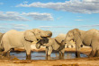 Botswana - Nxai Pan National Park - Kwando Nxai Pan