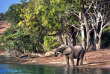 Botswana - Parc national de Chobe ©Shutterstock, lmspencer