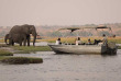 Botswana - Parc national de Chobe ©Shutterstock, Janelle Lugge