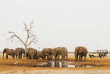 Botswana - Parc national de Chobe - Savute Safari Lodge