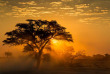 Botswana ©Shutterstock, Van Der Yyver