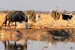 Botswana ©Shutterstock, Sephanie Periquet