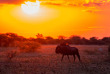 Botswana ©Shutterstock, Antero Topp
