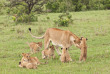 Kenya - Masai Mara - Basecamp Masai Mara 