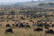 Kenya - Masai Mara ©Shutterstock, Photolukacs