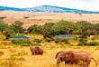 Kenya - Masai Mara - Keekorok Lodge