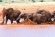 Kenya - Tsavo ©Shutterstock, eduard kyslynskyy