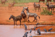 Kenya - Tsavo ©Shutterstock, andrzej kubik