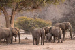 Namibie - Damaraland ©Shutterstock, Janelle Lugge