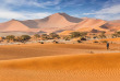 Namibie - Parc national Namib-Naukluft - Desert du Namib - Dunes de Sossusvlei ©Shutterstock, Kanuman