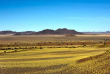 Namibie - Parc national Namib-Naukluft - Réserve naturelle de Namibrand ©Shutterstock, Felix Lipov