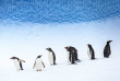 Croisières PONANT - Antarctique - L'Antarctique Emblématique © Studio Ponant, Laurence Fischer