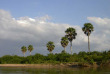 Tanzanie - Selous - Rufuji River Camp