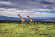 Kenya - Serengeti ©Shutterstock, kanokratnok