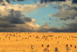 Tanzanie - Serengeti ©Shutterstock, lorimer images