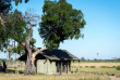 Best of Zimbabwe en version luxe - Hwange - Davison's Camp