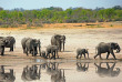 Botswana - Parc national de Hwange - Troupeau d'éléphants  - ©Shutterstock, Paula French