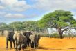 Botswana - Parc national de Hwange - Éléphants  - ©Shutterstock, Paula French