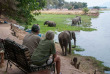 Zimbabwe - Mana Pools -Goliath Safari Camp