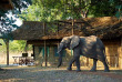 Zimbabwe - Mana Pools - Goliath Safari Camp