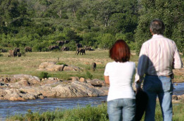 Afrique du Sud - Kruger - Mjejane Safari Lodge